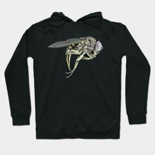 Tiny fly Hoodie